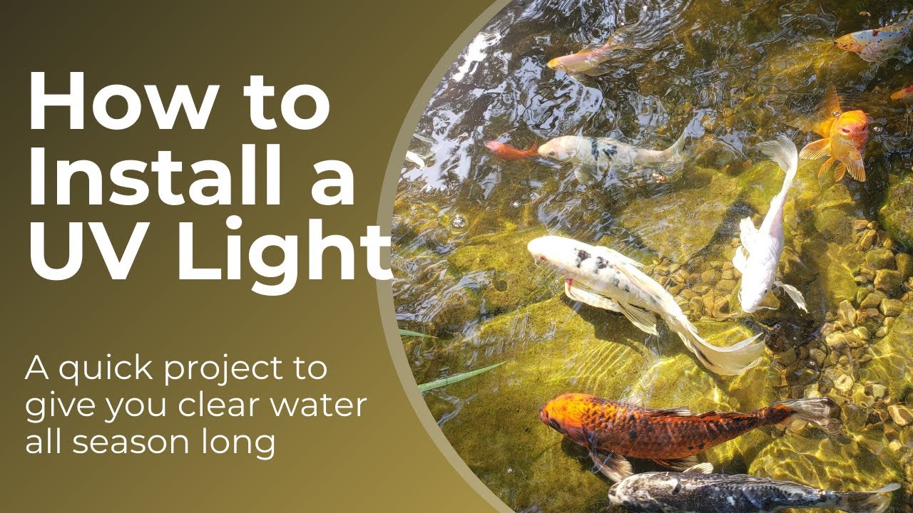 How to install a UV light