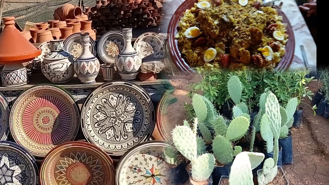 شاركت معكم جولة في البادية سيدي بنور❤️✨️