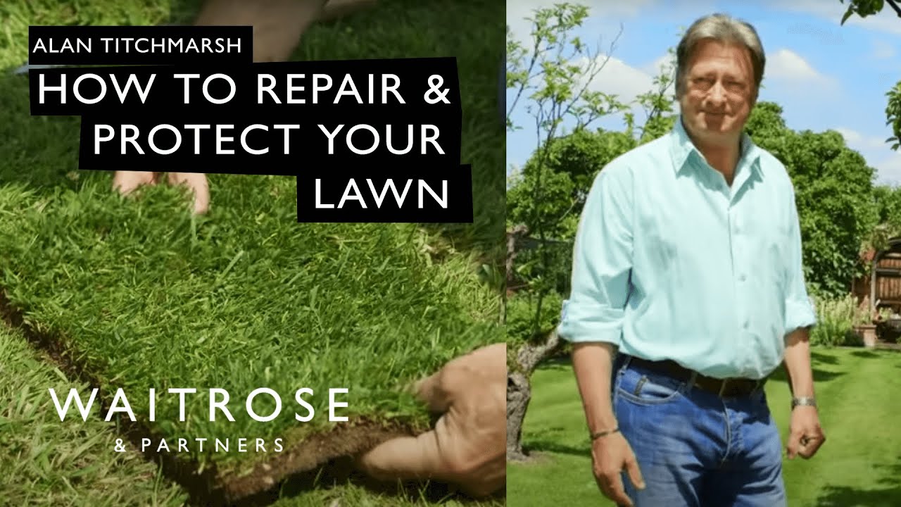 Как восстановить и защитить газон | Waitrose