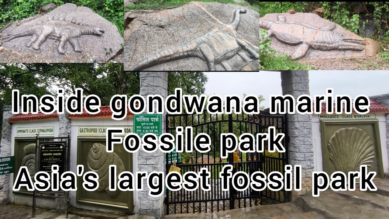 Inside Asia's largest marine fossil park. Gondwana marine fossil park, Chhattisgarh, #fossils