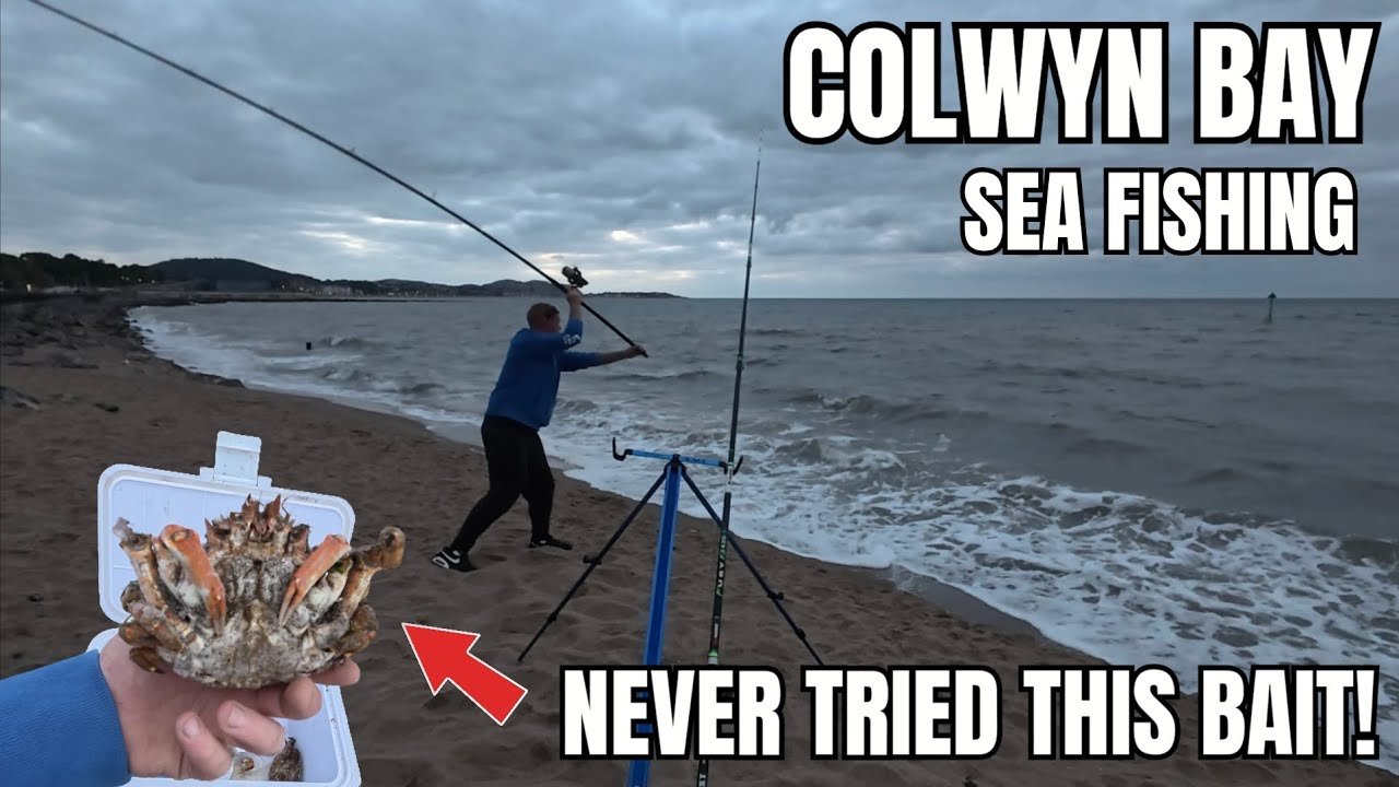 Colwyn Bay sea fishing - Does this new bait work for me? 