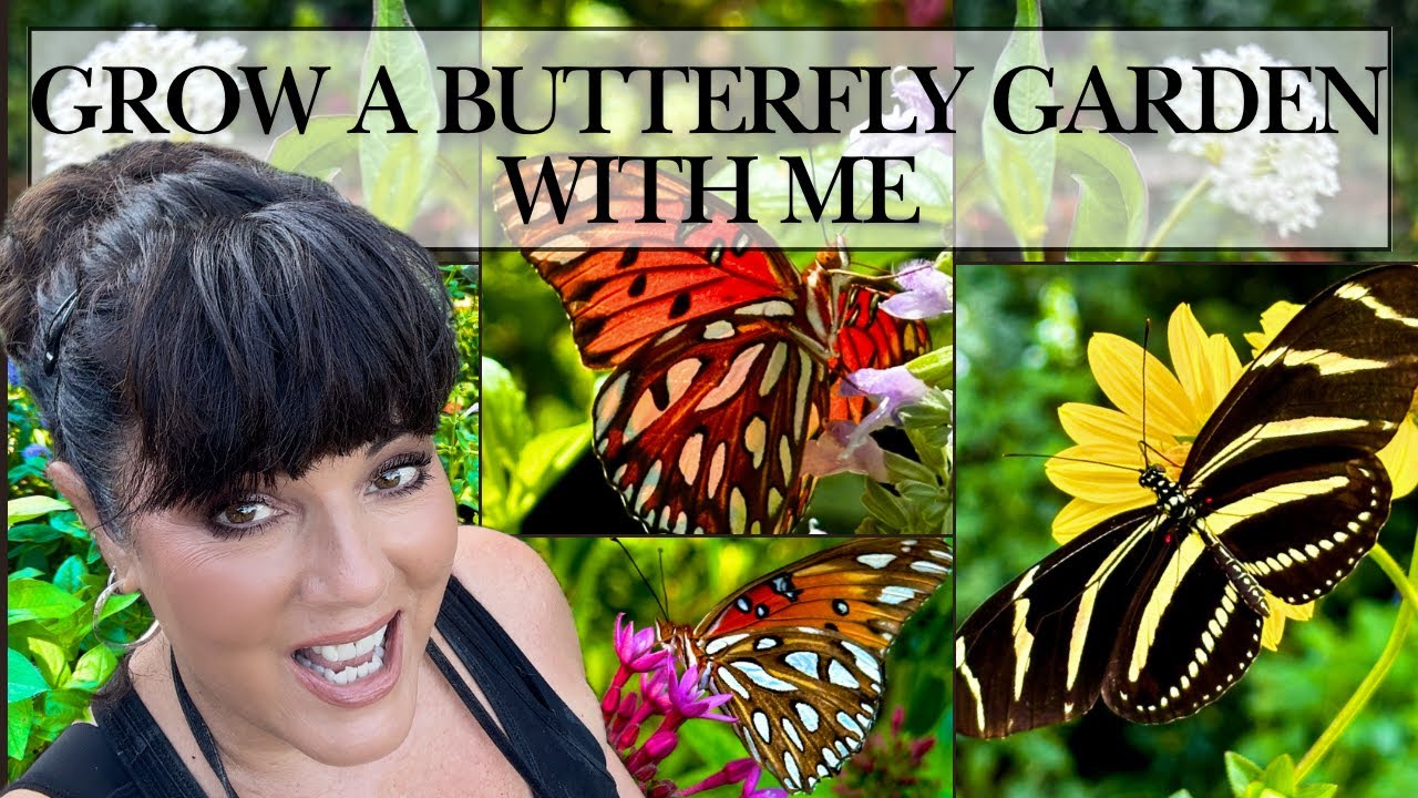This is How I Use Host Plants to Attract Butterflies to My Florida Garden 
