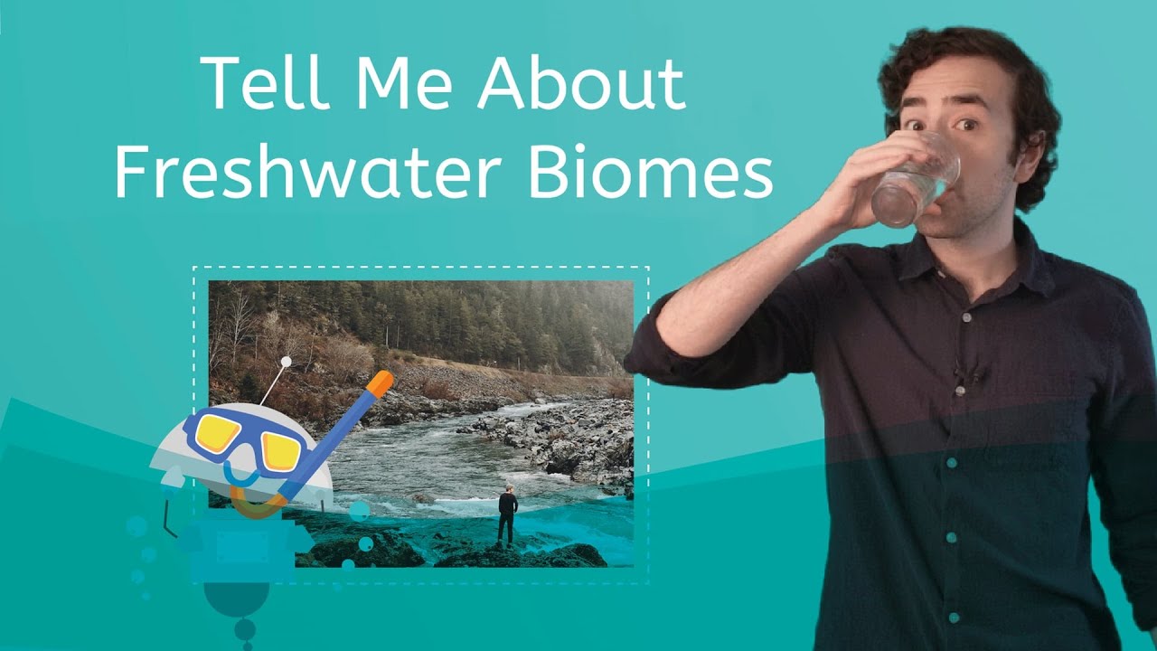 Tell Me About Freshwater Biomes – Elementary Science for Kids!
