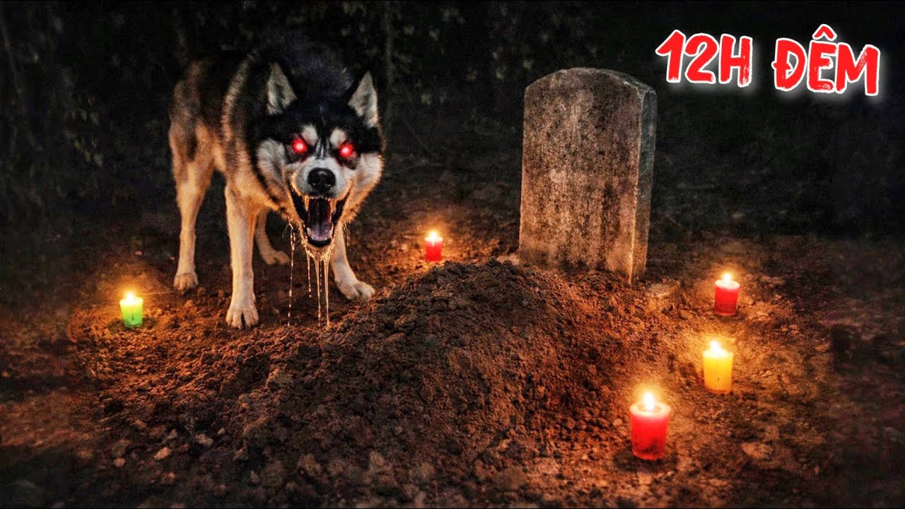 Kinh Hoàng | Chó Sói Ngáo Husky Nghi Ngờ Là SKINWALKER Đ.ào Mộ Khi Trăng Tròn 🌒 | Toàn Ngơ