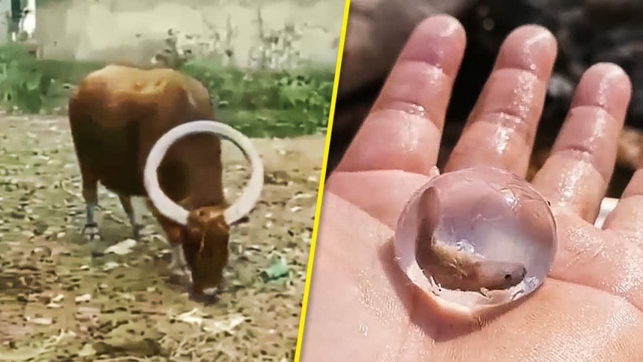 24 Things For Those Who Have Already Seen Everything