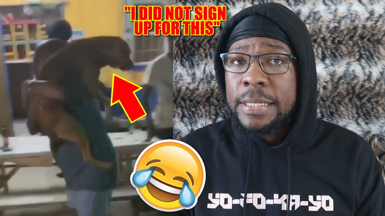 Caribbean Parties Are Just Different 😂🐶 [K2KShorts]