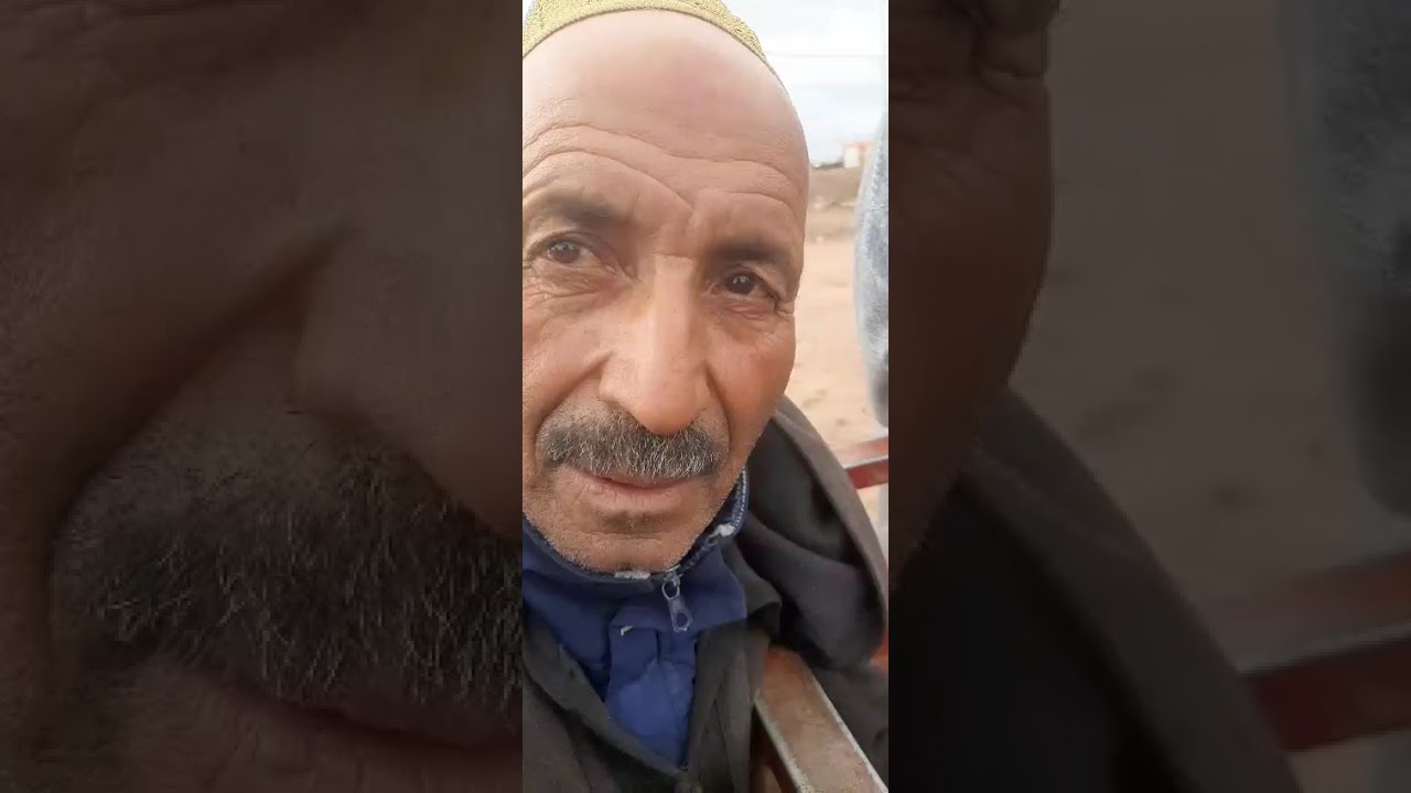 والزيت والزيتون امشغل العافية بين فلاحي السراغنة والرحامنة 