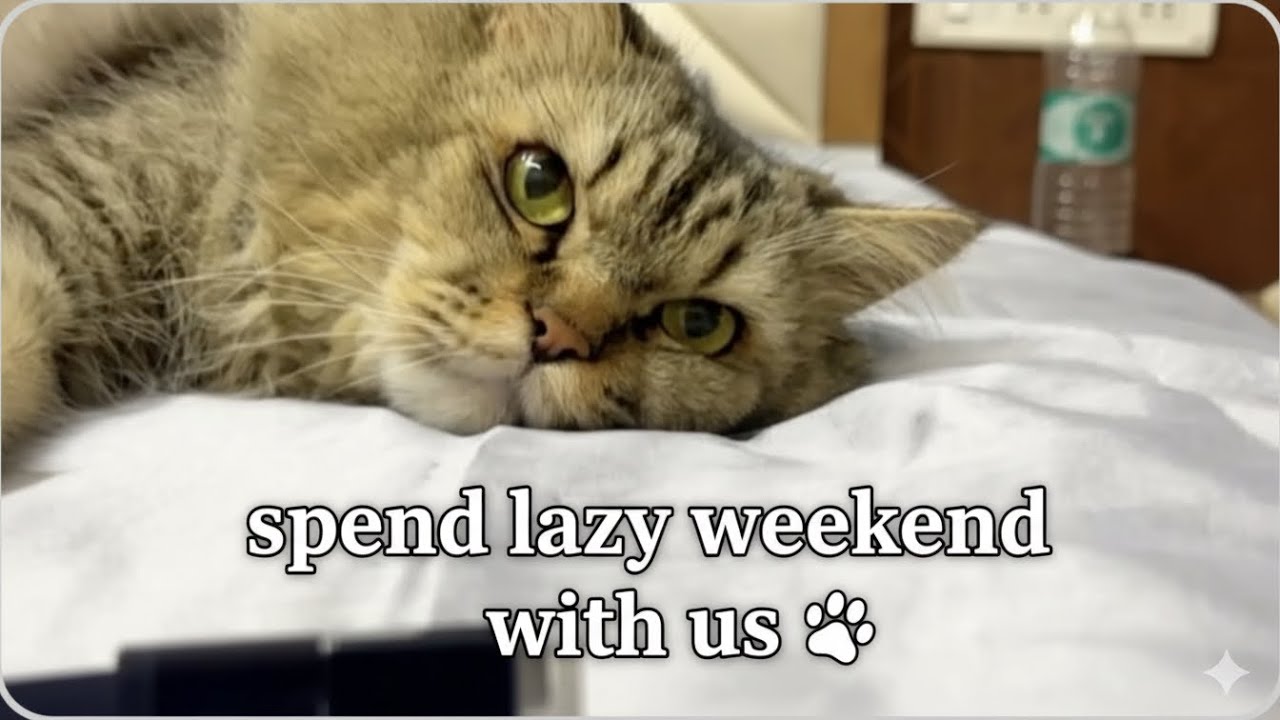 Lazy long weekend 
