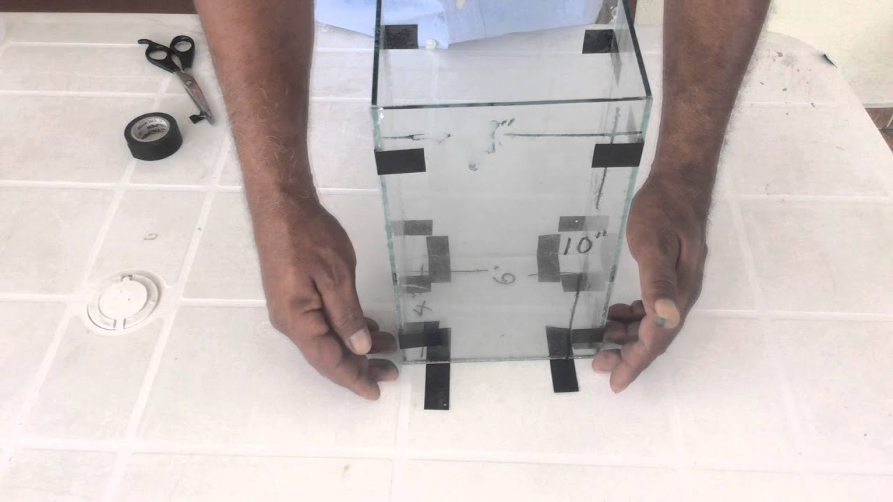 Como hacer Peceras para bettas económica - Bettera