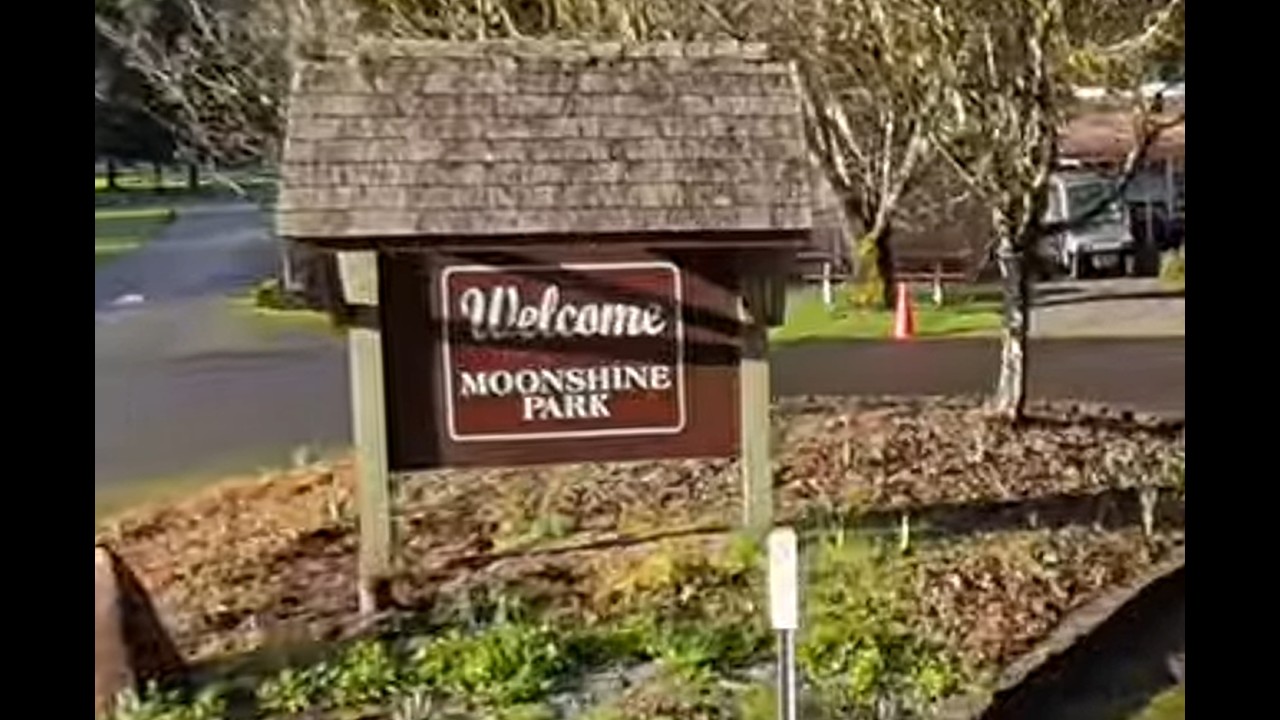 360 Video - Moonshine campground Oregon, 15 Feb 2026
