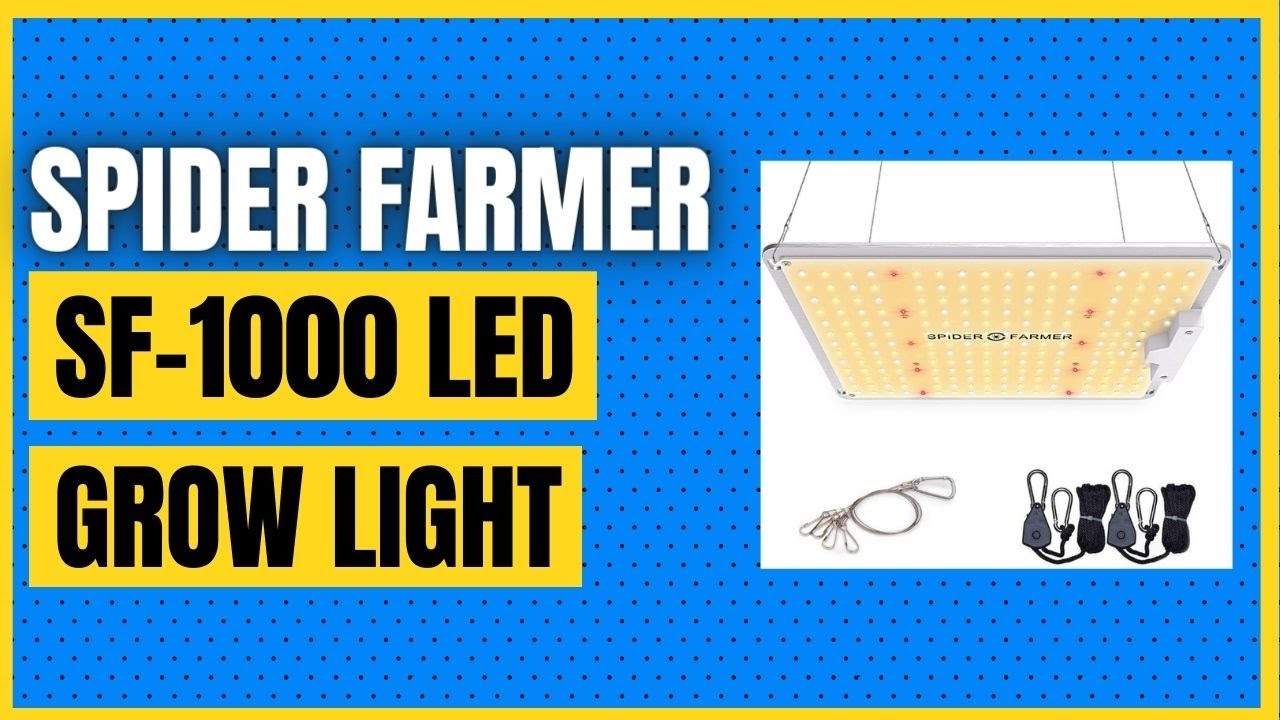 SPIDER FARMER SF-1000 LED Grow Light Use with Samsung LM301B LEDs