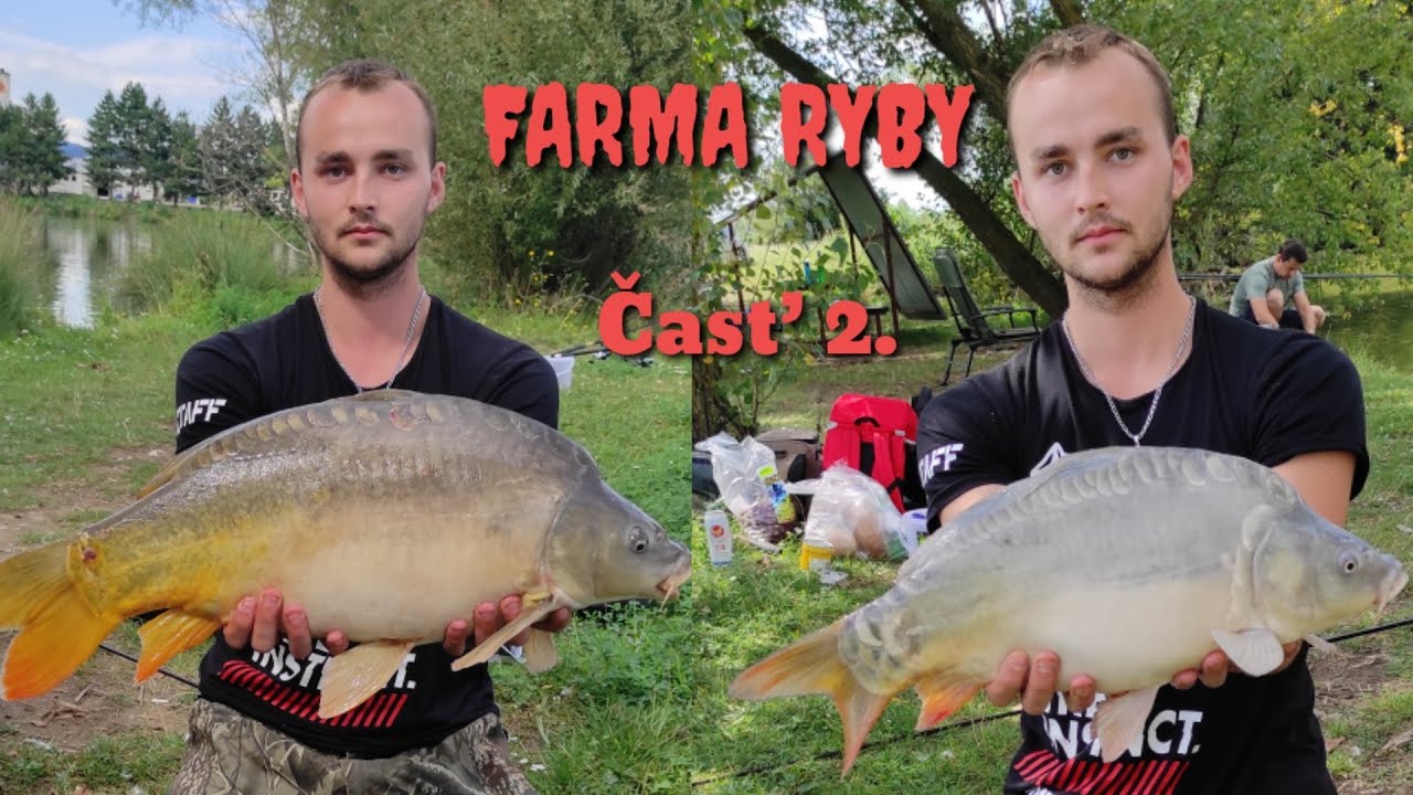 FARMA RYBY - Časť 2 - KAPRE / Opäť super Rybačka