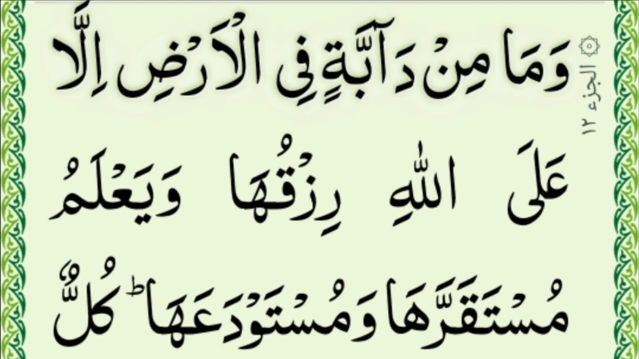Quran. para 12 Complete {par 12 full HD text} Qari Hussain Saeedi