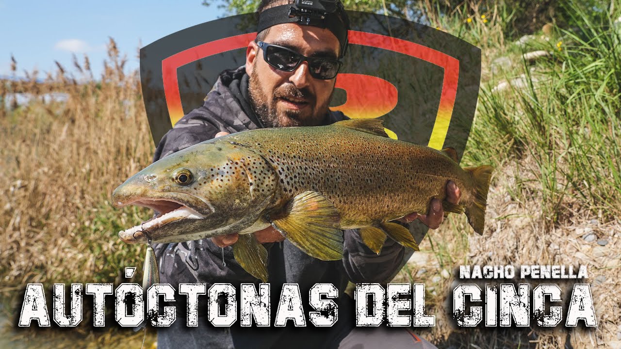 AUTOCTONAS DEL CINCA ***FOX RAGE FISHING TV***