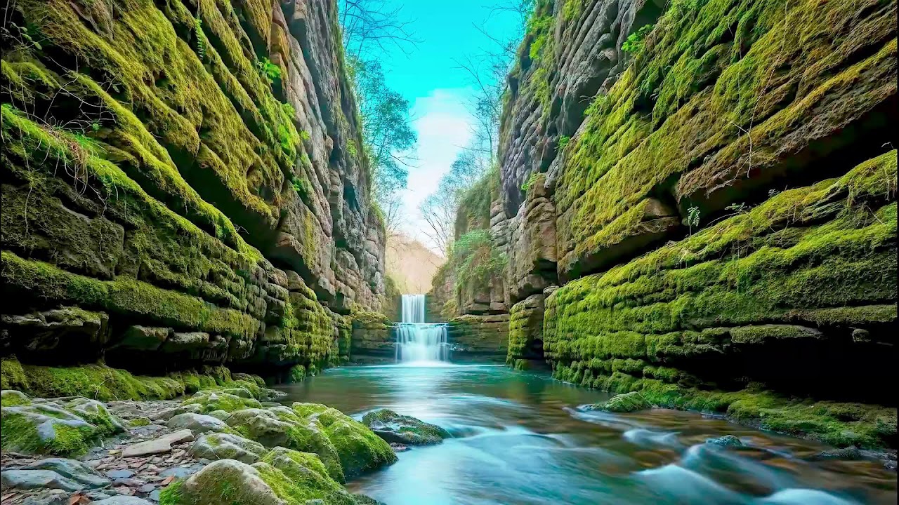 Gentle River Sound for Deep Sleep | Soothing Audio Therapy for Mental Wellness