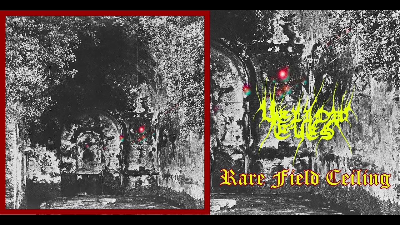 💀 Yellow Eyes - Rare Field Ceiling (2019) [Full Album] 💀