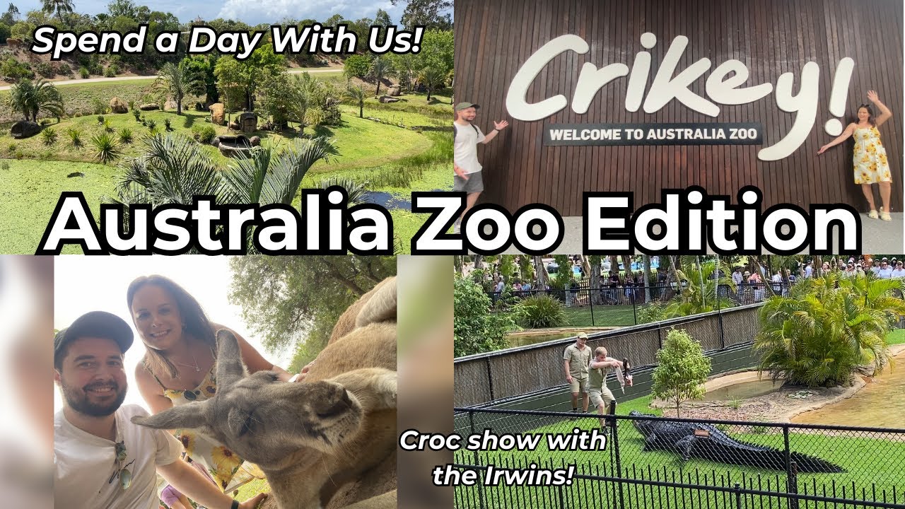 Brits visit Australia Zoo: A Day with Koalas, Crocs and the Irwin Family! | Moving to Australia Vlog