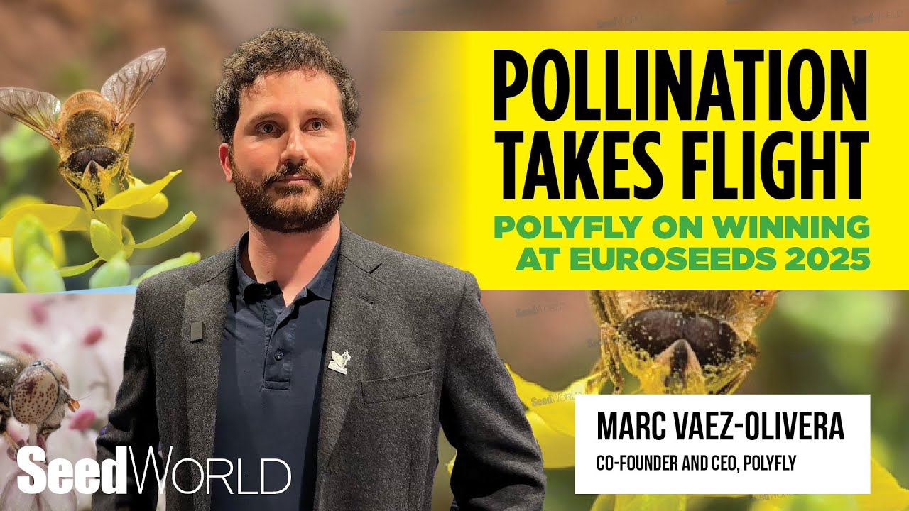 This Company Uses Hoverflies As Pollinators