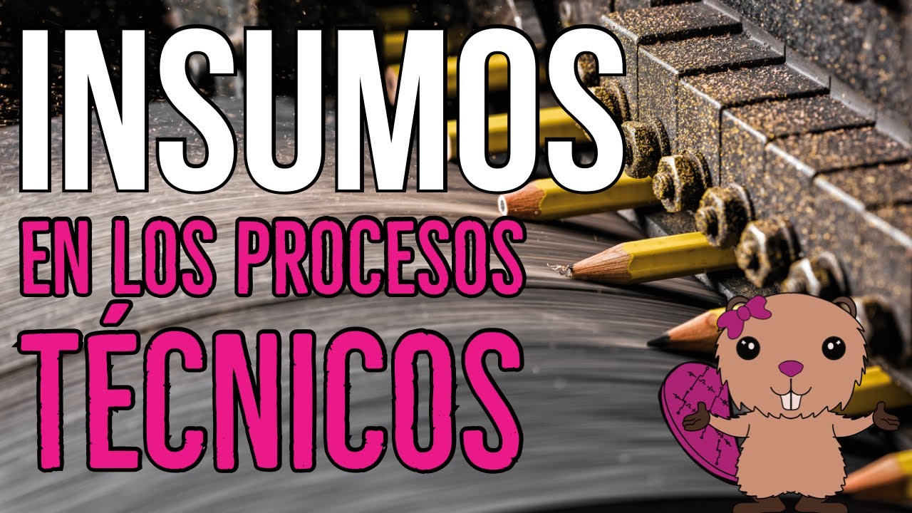INSUMOS EN LOS PROCESOS PRODUCTIVOS
