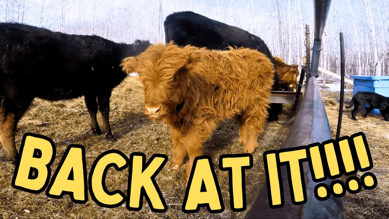 Farm POV: Let&rsquo;s Get to Work!