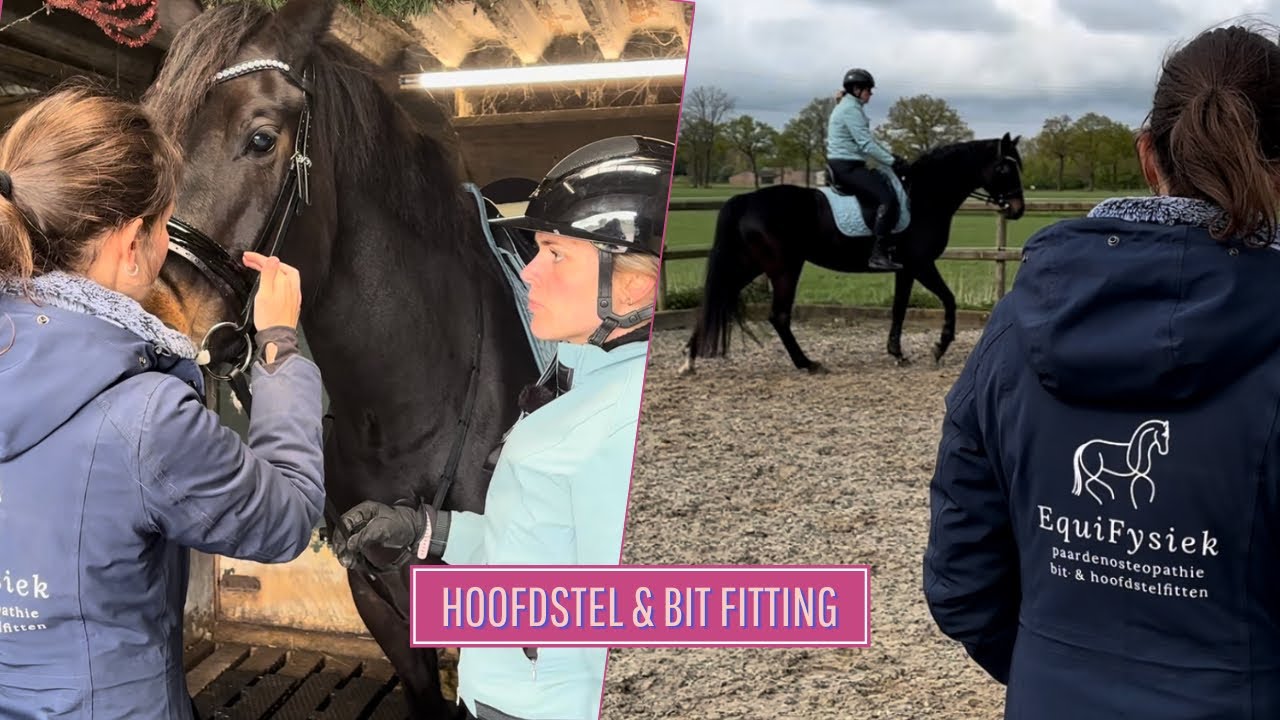 W&aacute;t een verschil met een ANDER HOOFDSTEL! - Life as Esm&eacute;