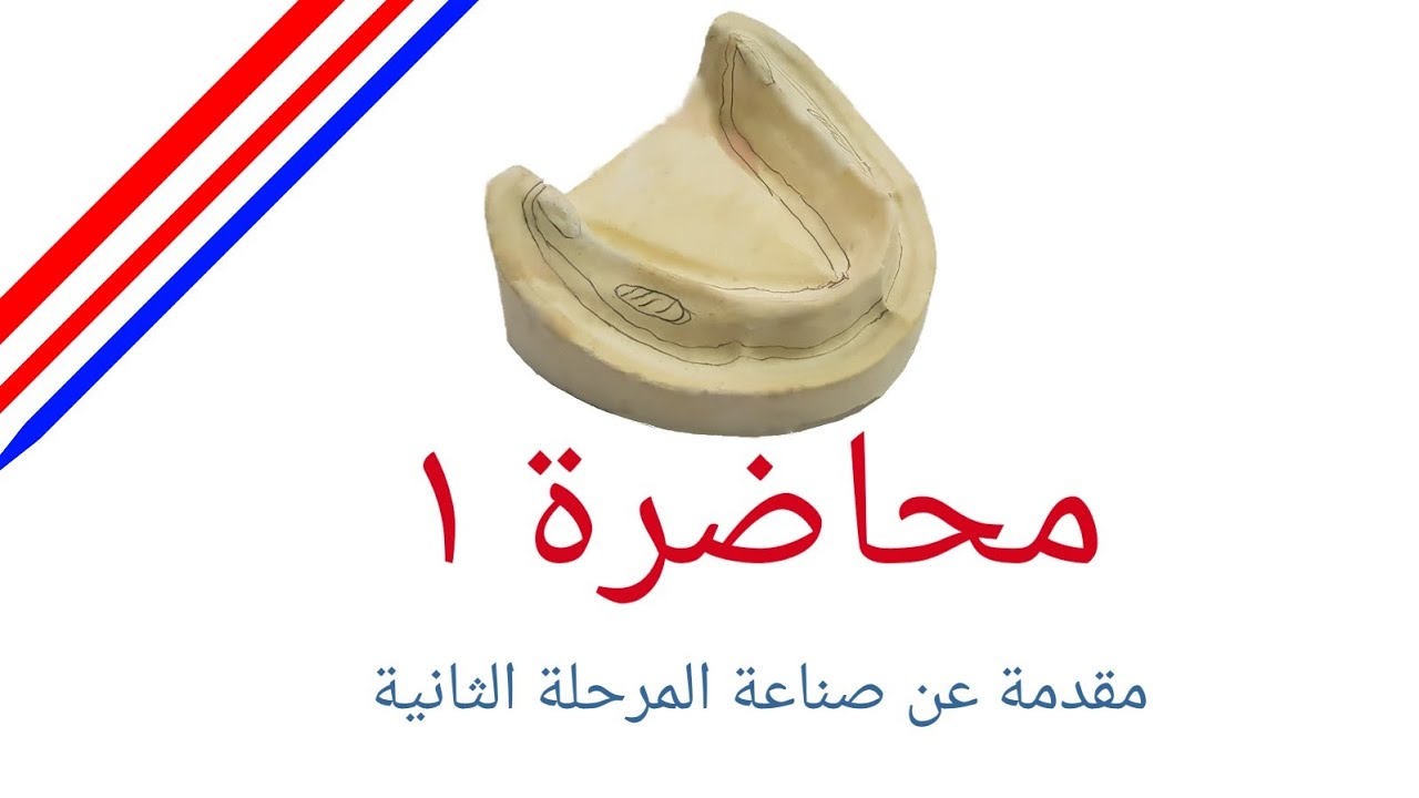 محاضره ١ صناعه اسنان: مقدمه للمرحله الثانيه.اقرا الوصف