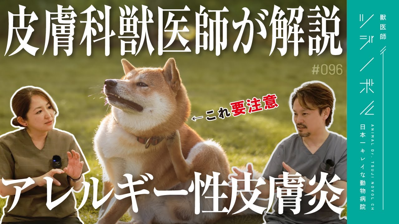 こんな症状は要注意！アレルギー性皮膚炎の治療と検査について【獣医師ツジノボル】