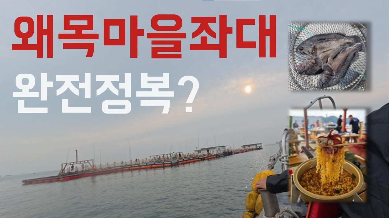 왜목마을좌대 우럭은 어떤미끼를 가장좋아할까? 쭈꾸미 갑오징어