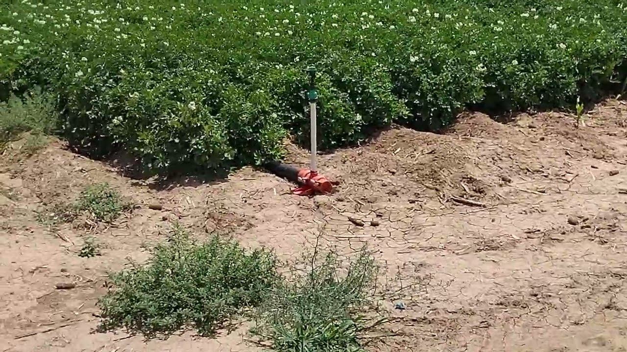 olmayan ekin böyle devrilir