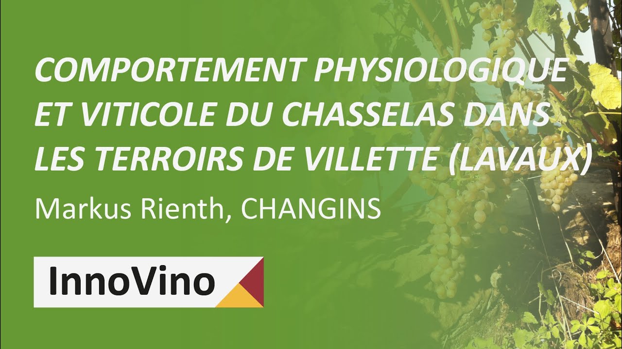 Comportement physiologique et viticole du Chasselas dans les terroirs de Villette - Markus Rienth