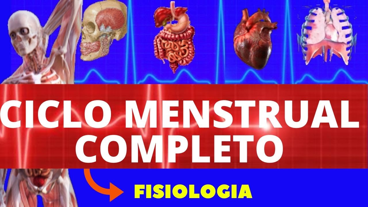 CICLO MENSTRUAL COMPLETO (FISIOLOGIA DE GUYTON) - MENSTRUAÇÃO - FISIOLOGIA HUMANA - OVULAÇÃO