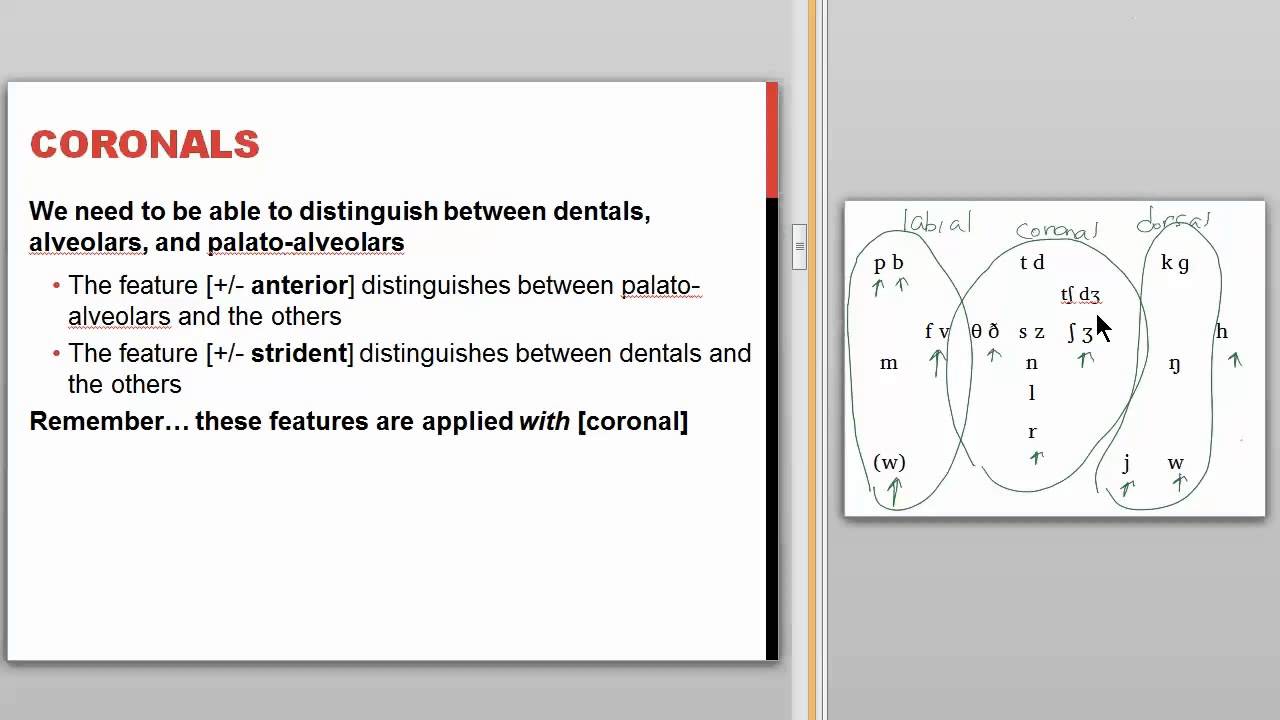 Phonological Features