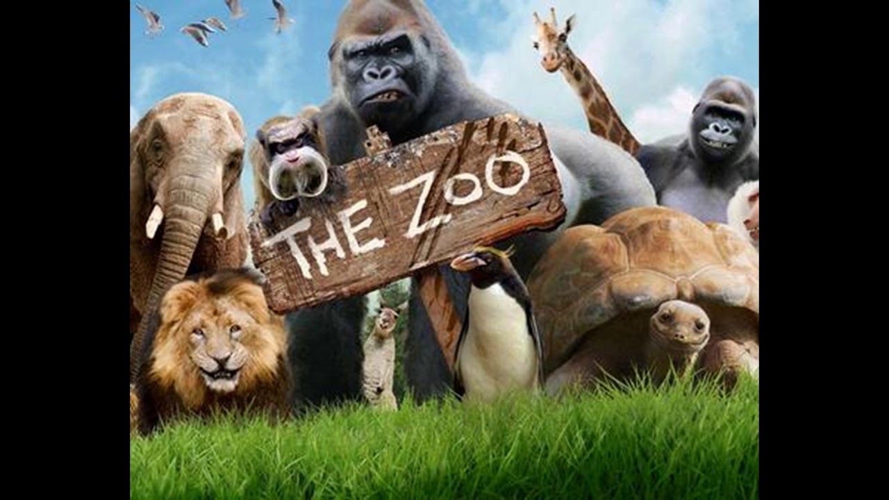 Listening B1 TRINITY- Numbers Zoo