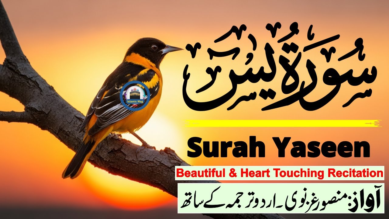 Surah Yasin with Urdu Translation Full | Beautiful Quranic Recitation with Urdu & Hindi Tarjama Ep12