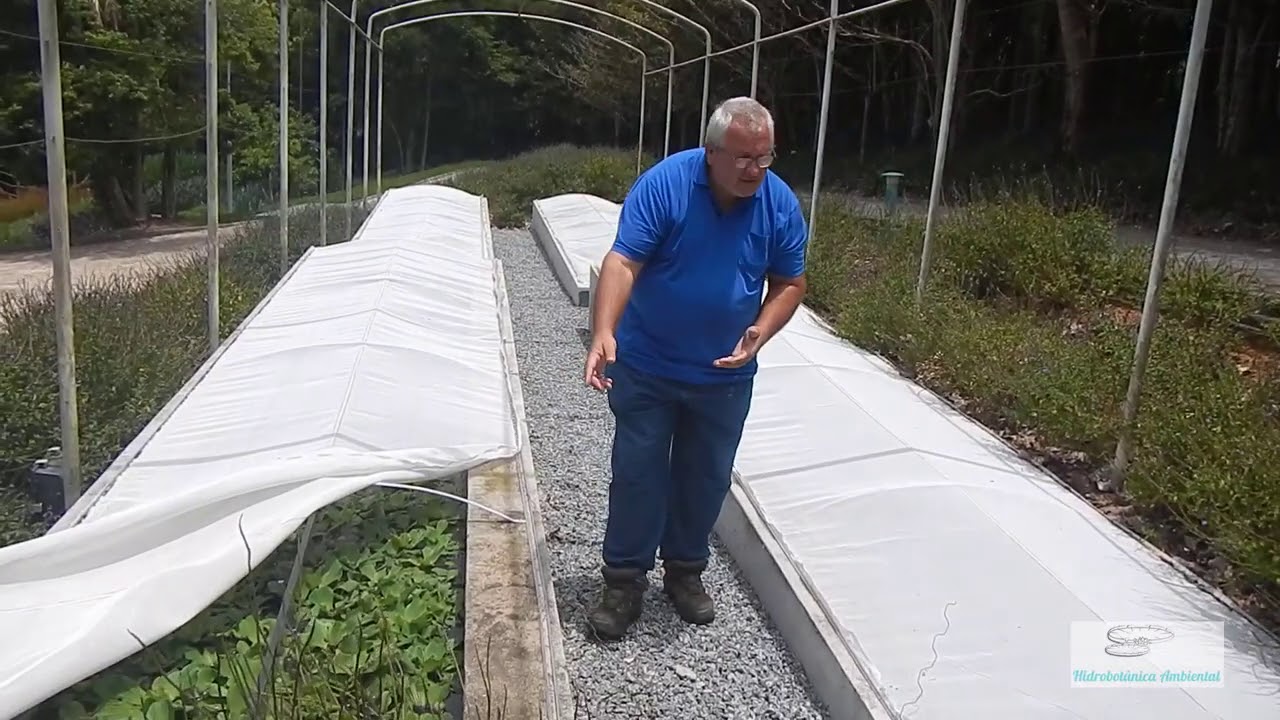 ESTAÇÃO DE TRATAMENTO DE ESGOTO COM PLANTAS