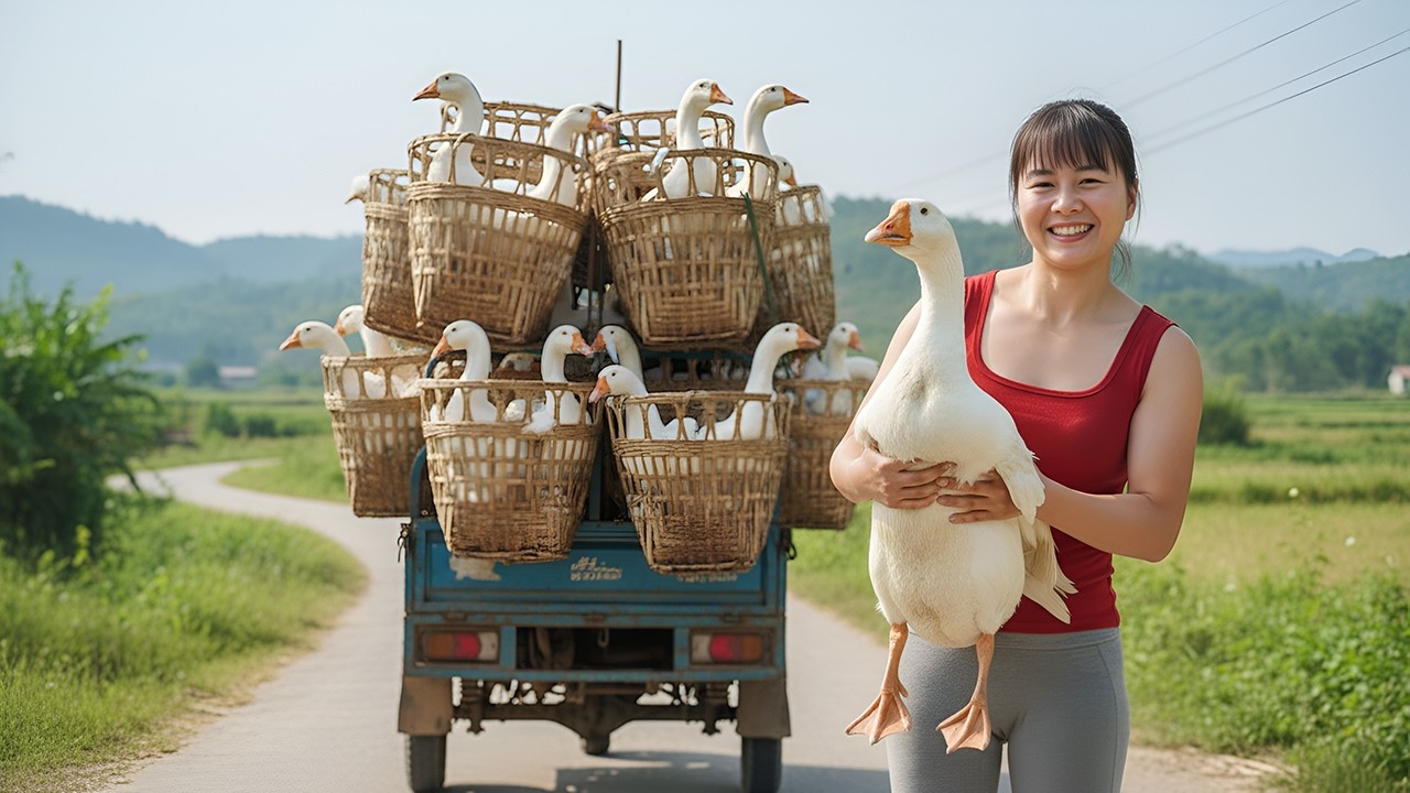 [TIMELAPSE] Harvesting Many Geese With a 3-Wheeled Vehicle — Go to Countryside Market Sell