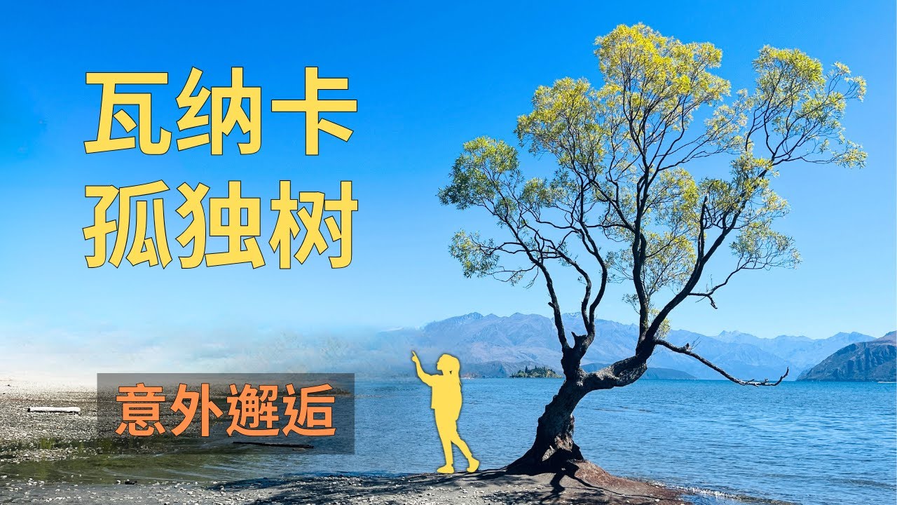 瓦纳卡孤独树，步道上的意外邂逅，狗狗的冒险 | Stealing 1000 Sheep, Wanaka Lone Tree, Trail Encounters & Dog Adv