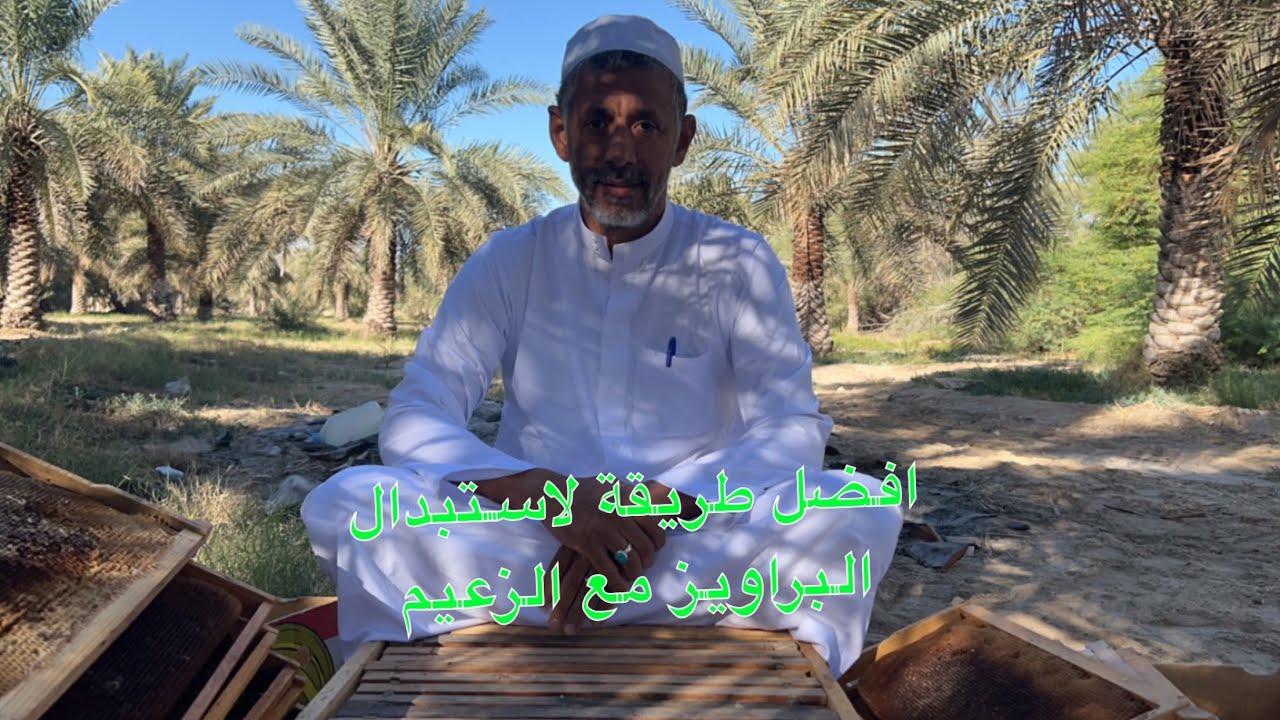 افضل طريقة لاستبدال البرايوز القديمة