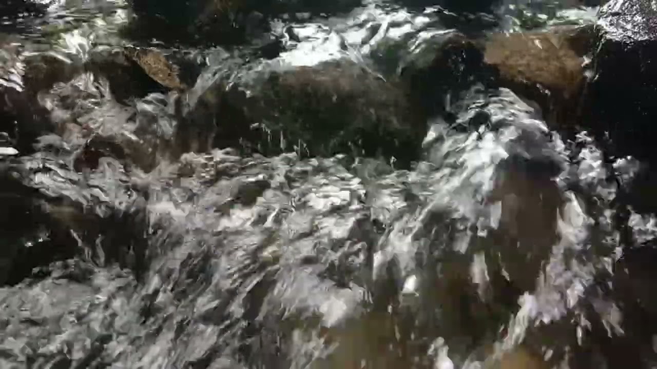Relaxing Flowing River Sounds | Soft Water for Peaceful Moments 