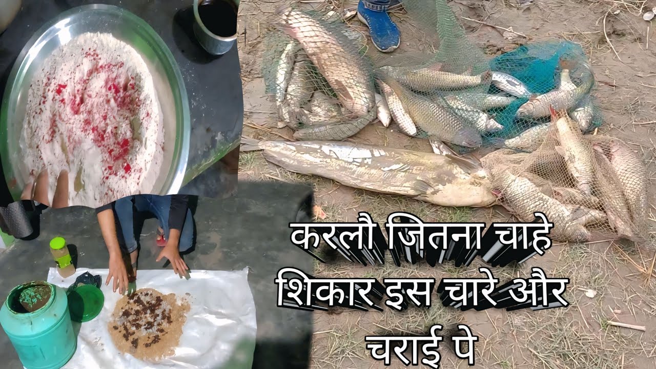 Fishing bait nahi dhamal hai 