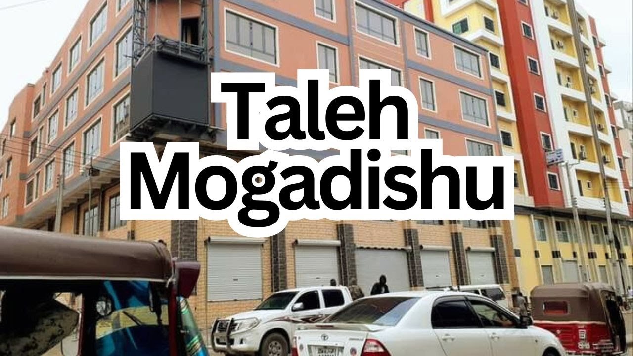 TALEEX - MOGADISHU 🇸🇴