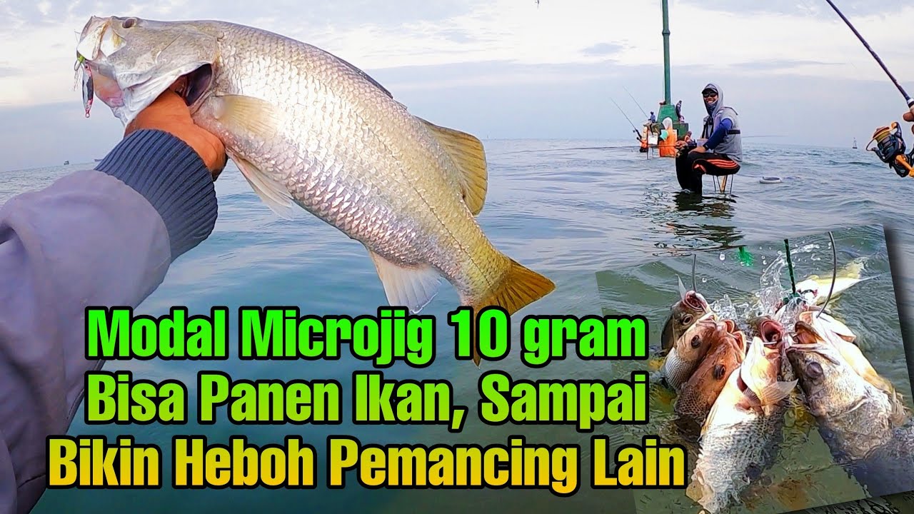 Pesta Stike, Mancing Belum Sampai Satu Jam Sudah Dapat Banyak Ikan