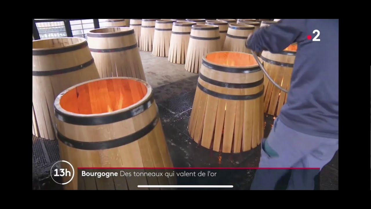 Reportage du journal de 13H00 sur France 2 du lundi 11.01.2021