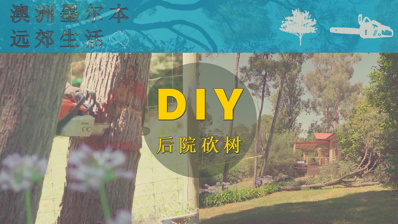 DIY后院砍树 | 澳洲墨尔本远郊生活