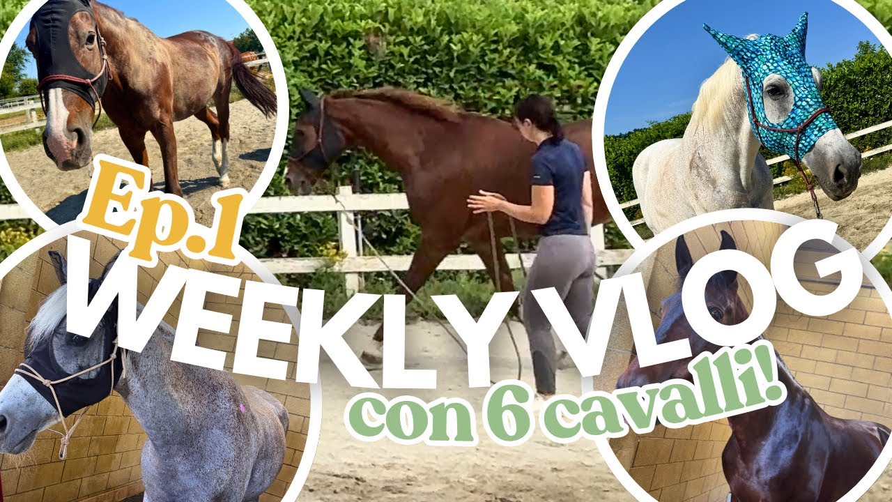 6 CAVALLI PER 5 GIORNI… DA SOLA! 🐎💥 | VLOG DIETRO LE QUINTE DI UNA SCUDERIA 🐴