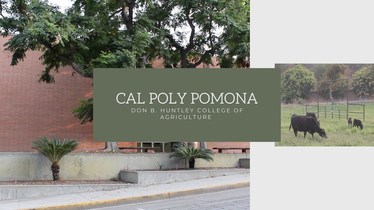 Don B. Huntley College of Agriculture at Cal Poly Pomona