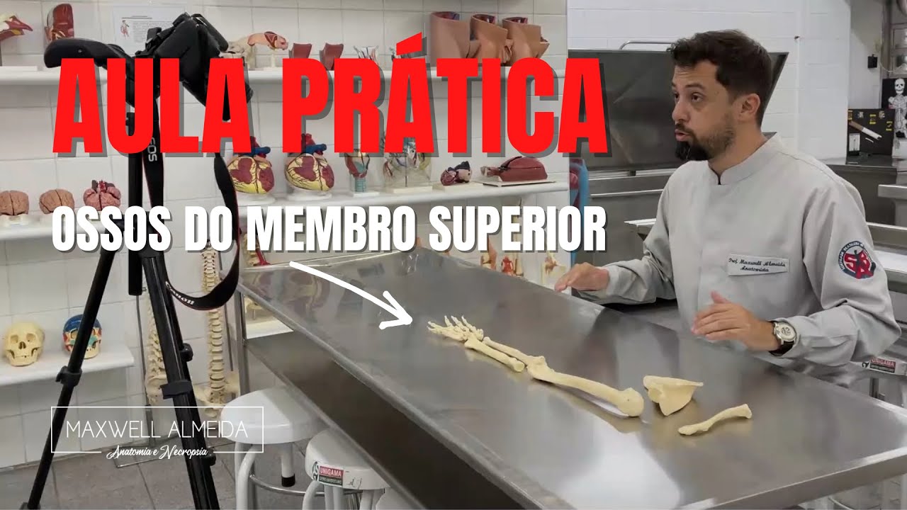 AULA PRÁTICA sobre Ossos dos Membros Superiores no Laboratório de Anatomia