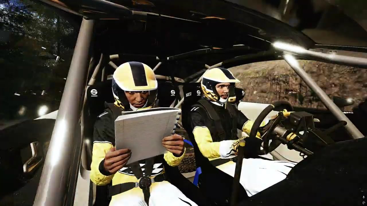 Setup Ford Fiesta WRC Hualqui Rally Chile EA WRC