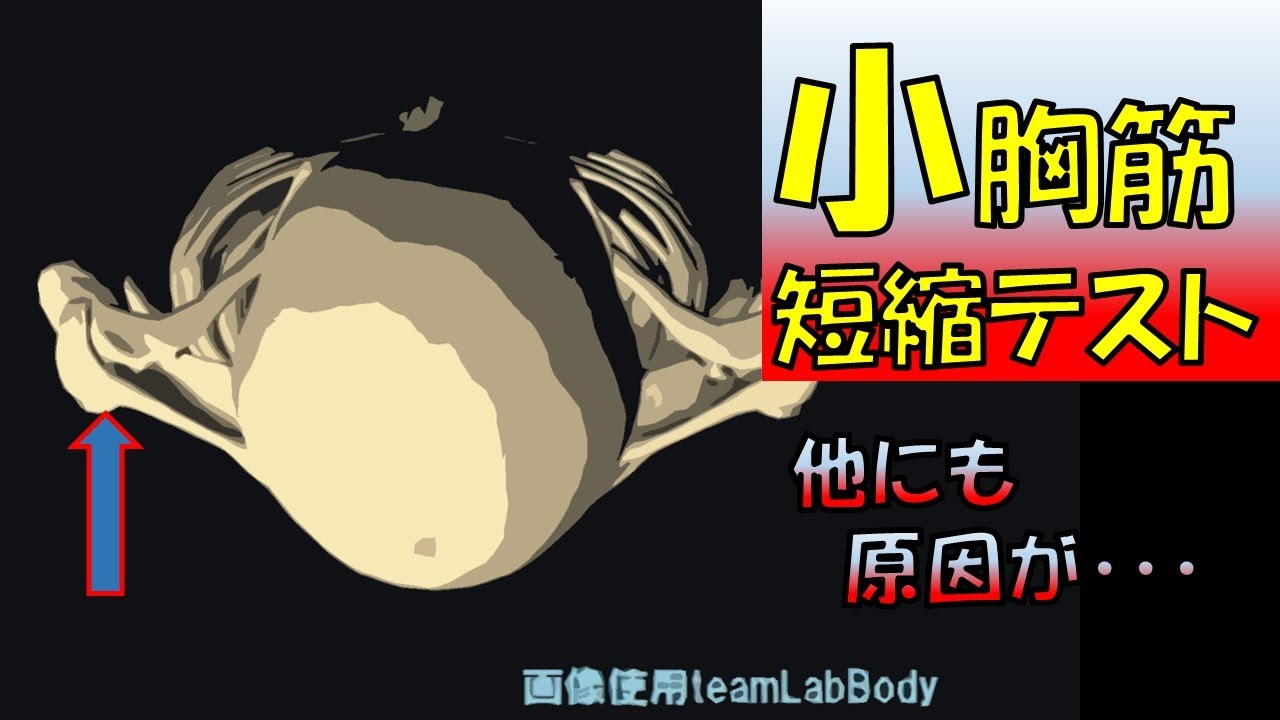 vol.160 小胸筋短縮テスト　原因は小胸筋だけでない⁉