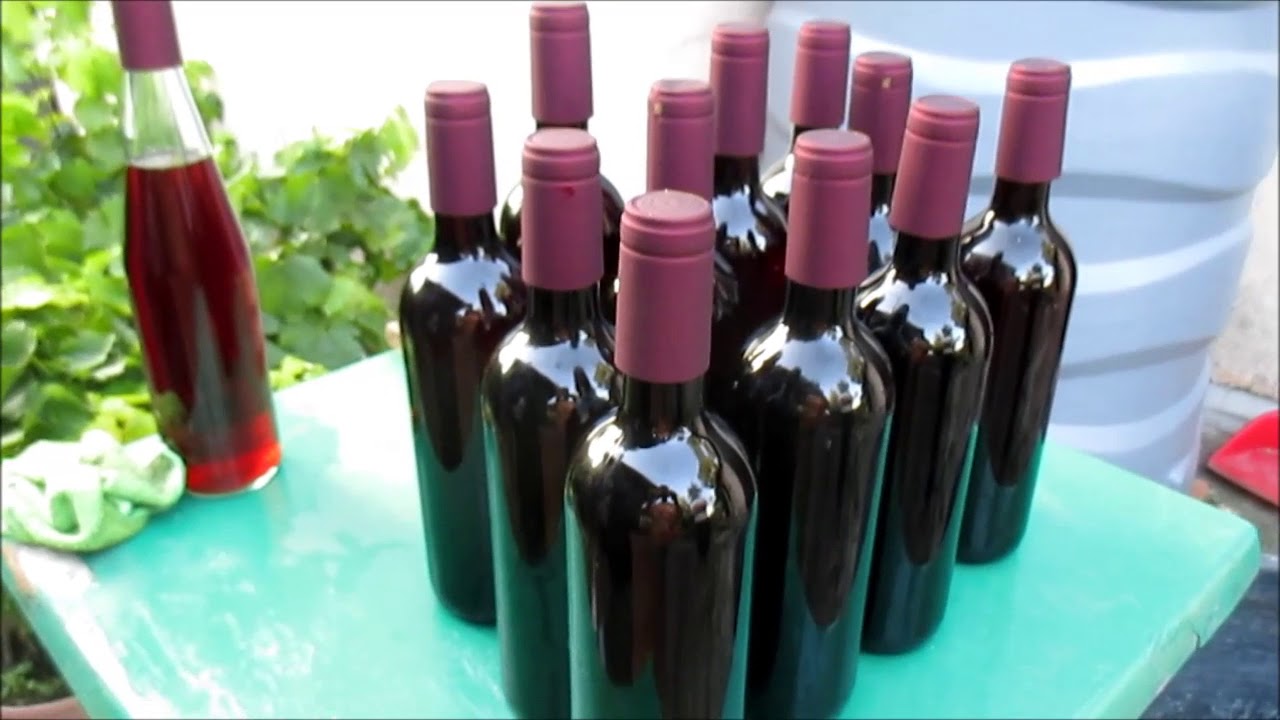 DALLA VITE AL VINO #12 imbottigliamento vendemmia 2017